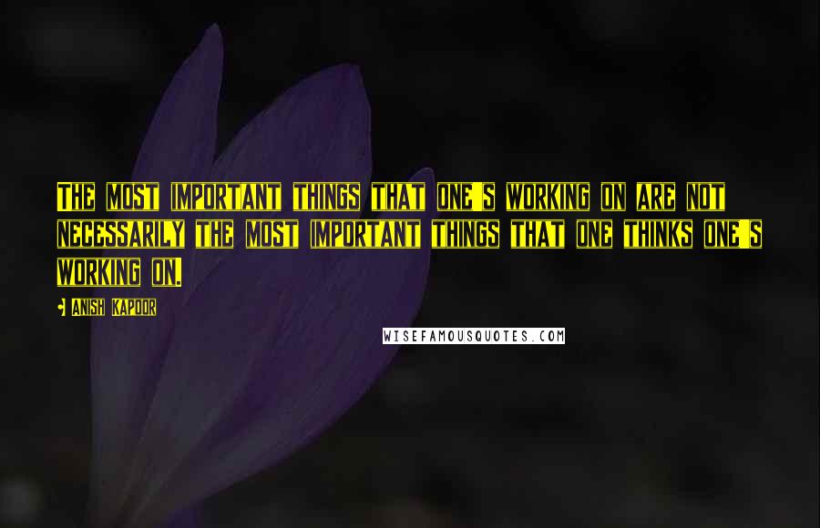 Anish Kapoor Quotes: The most important things that one's working on are not necessarily the most important things that one thinks one's working on.