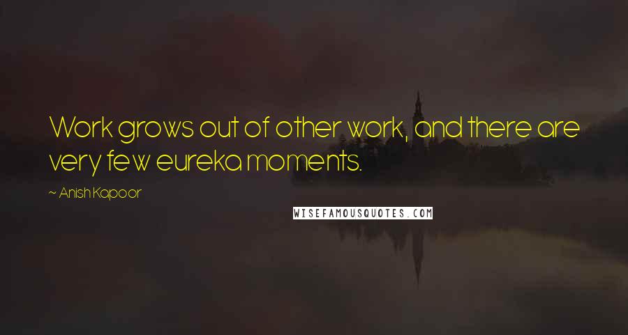 Anish Kapoor Quotes: Work grows out of other work, and there are very few eureka moments.