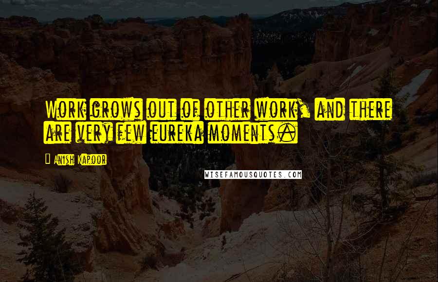 Anish Kapoor Quotes: Work grows out of other work, and there are very few eureka moments.