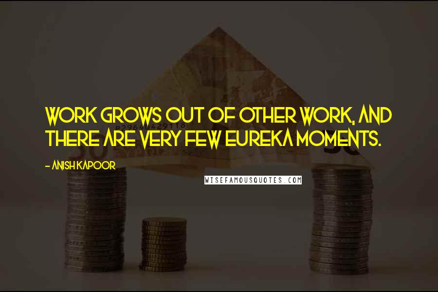 Anish Kapoor Quotes: Work grows out of other work, and there are very few eureka moments.