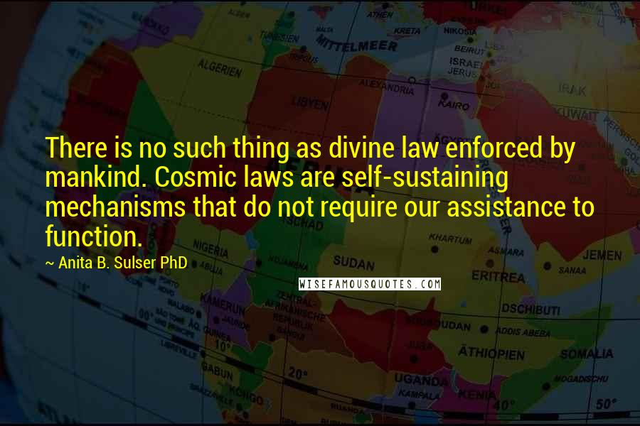 Anita B. Sulser PhD Quotes: There is no such thing as divine law enforced by mankind. Cosmic laws are self-sustaining mechanisms that do not require our assistance to function.