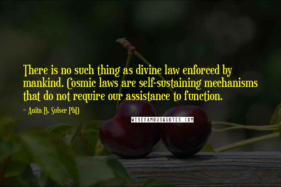 Anita B. Sulser PhD Quotes: There is no such thing as divine law enforced by mankind. Cosmic laws are self-sustaining mechanisms that do not require our assistance to function.