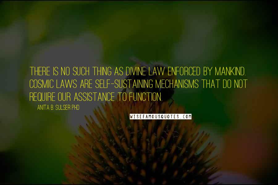 Anita B. Sulser PhD Quotes: There is no such thing as divine law enforced by mankind. Cosmic laws are self-sustaining mechanisms that do not require our assistance to function.