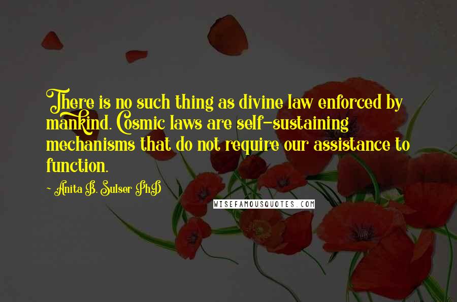 Anita B. Sulser PhD Quotes: There is no such thing as divine law enforced by mankind. Cosmic laws are self-sustaining mechanisms that do not require our assistance to function.