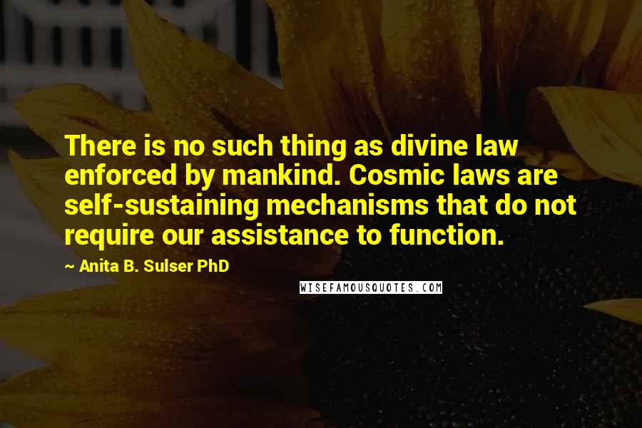 Anita B. Sulser PhD Quotes: There is no such thing as divine law enforced by mankind. Cosmic laws are self-sustaining mechanisms that do not require our assistance to function.