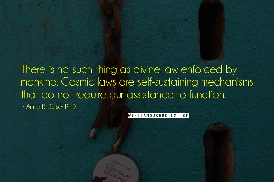 Anita B. Sulser PhD Quotes: There is no such thing as divine law enforced by mankind. Cosmic laws are self-sustaining mechanisms that do not require our assistance to function.