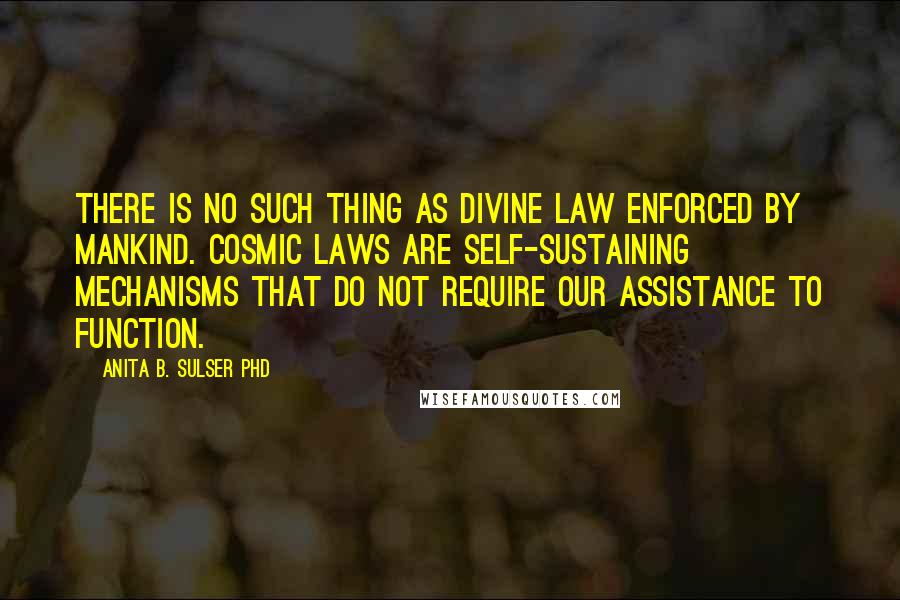 Anita B. Sulser PhD Quotes: There is no such thing as divine law enforced by mankind. Cosmic laws are self-sustaining mechanisms that do not require our assistance to function.