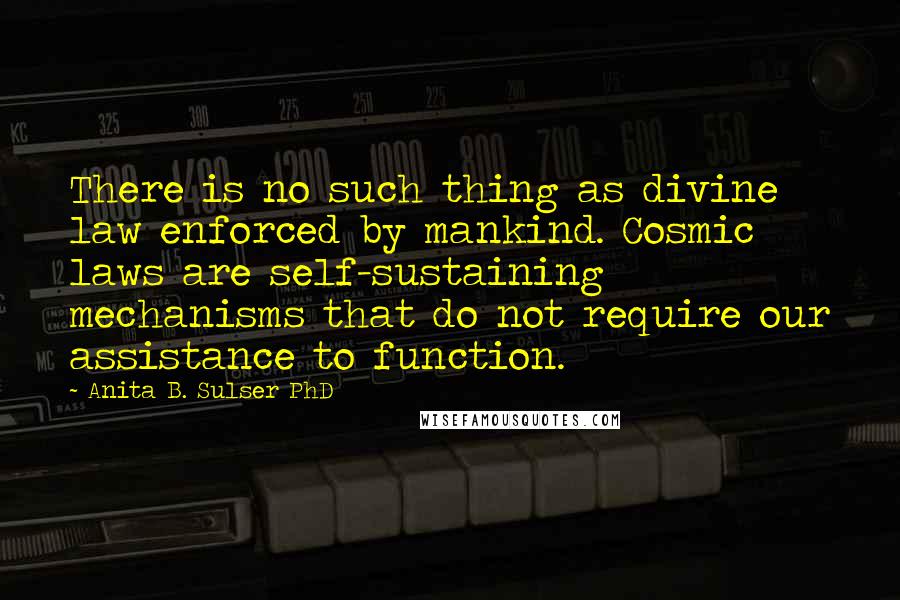 Anita B. Sulser PhD Quotes: There is no such thing as divine law enforced by mankind. Cosmic laws are self-sustaining mechanisms that do not require our assistance to function.