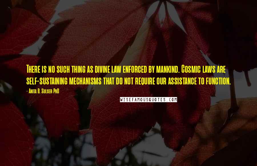 Anita B. Sulser PhD Quotes: There is no such thing as divine law enforced by mankind. Cosmic laws are self-sustaining mechanisms that do not require our assistance to function.