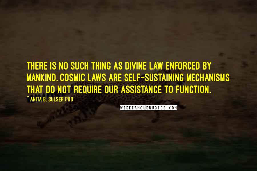 Anita B. Sulser PhD Quotes: There is no such thing as divine law enforced by mankind. Cosmic laws are self-sustaining mechanisms that do not require our assistance to function.