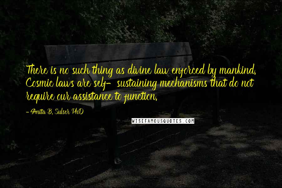 Anita B. Sulser PhD Quotes: There is no such thing as divine law enforced by mankind. Cosmic laws are self-sustaining mechanisms that do not require our assistance to function.