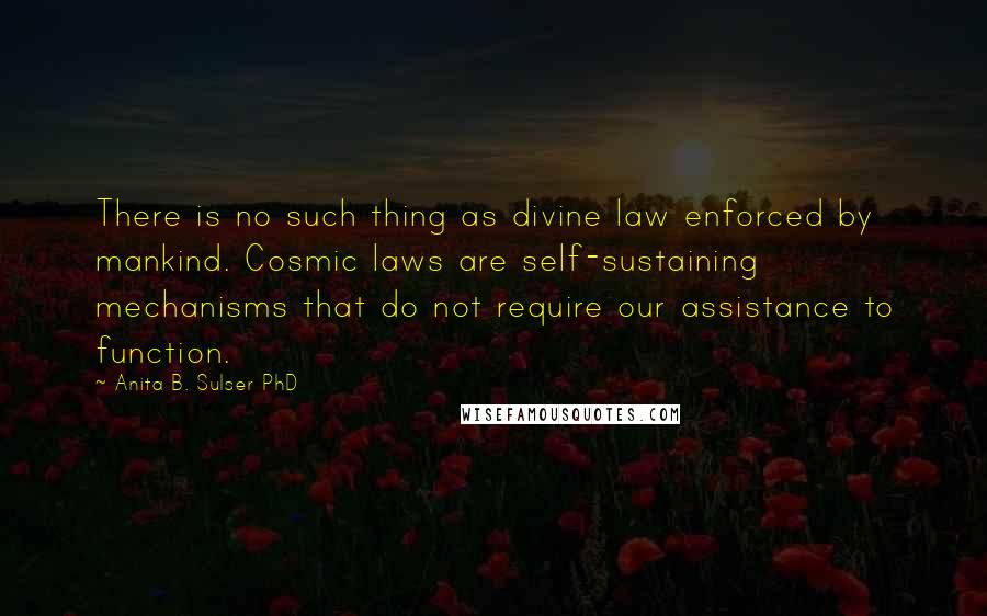 Anita B. Sulser PhD Quotes: There is no such thing as divine law enforced by mankind. Cosmic laws are self-sustaining mechanisms that do not require our assistance to function.