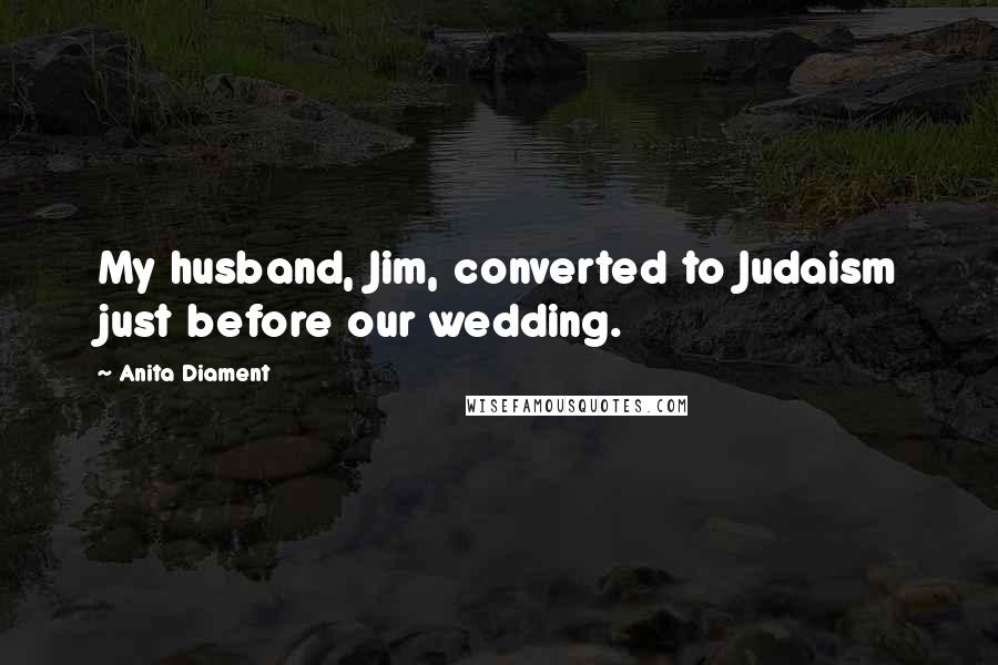 Anita Diament Quotes: My husband, Jim, converted to Judaism just before our wedding.