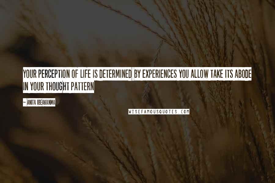 Anita Ibeakanma Quotes: Your perception of life is determined by experiences you allow take its abode in your thought pattern