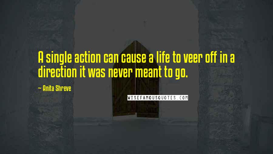 Anita Shreve Quotes: A single action can cause a life to veer off in a direction it was never meant to go.