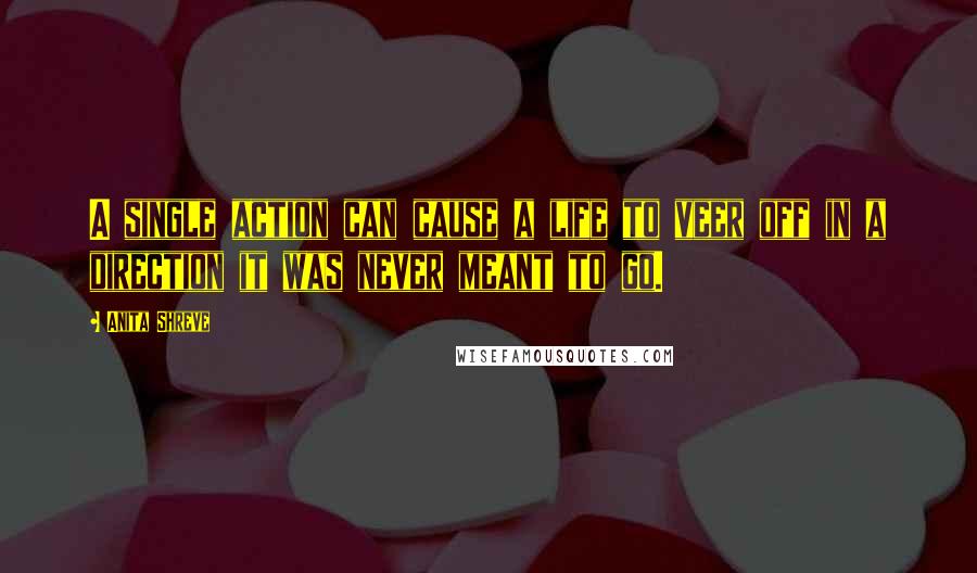 Anita Shreve Quotes: A single action can cause a life to veer off in a direction it was never meant to go.