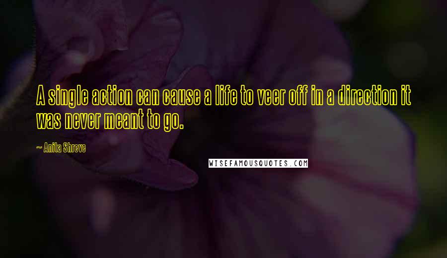 Anita Shreve Quotes: A single action can cause a life to veer off in a direction it was never meant to go.