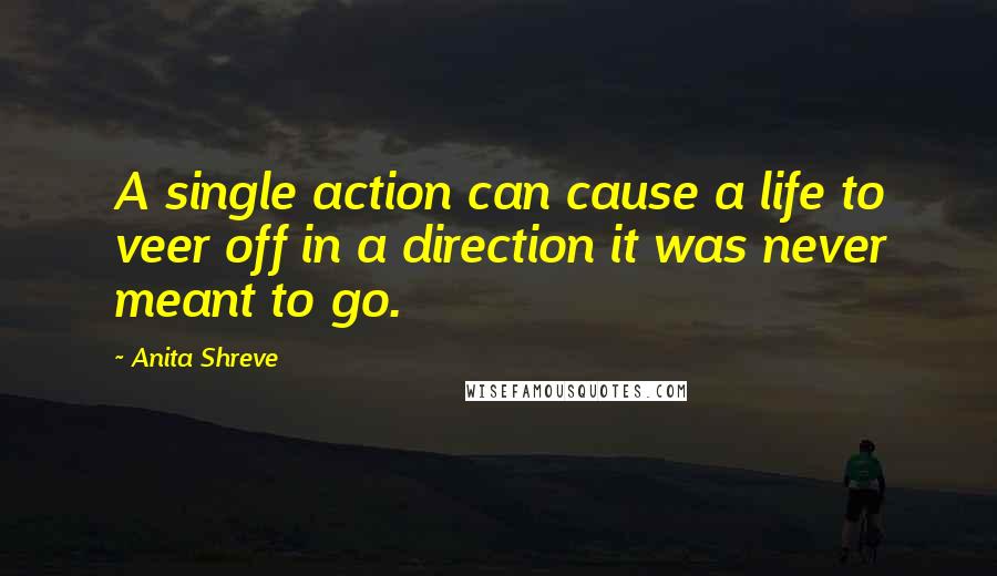 Anita Shreve Quotes: A single action can cause a life to veer off in a direction it was never meant to go.