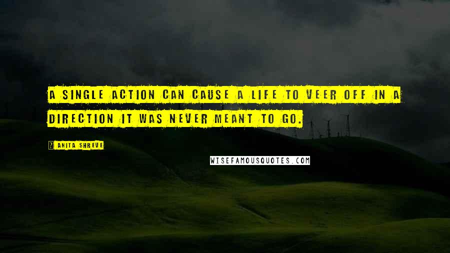 Anita Shreve Quotes: A single action can cause a life to veer off in a direction it was never meant to go.