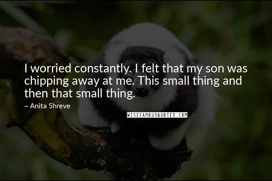 Anita Shreve Quotes: I worried constantly. I felt that my son was chipping away at me. This small thing and then that small thing.