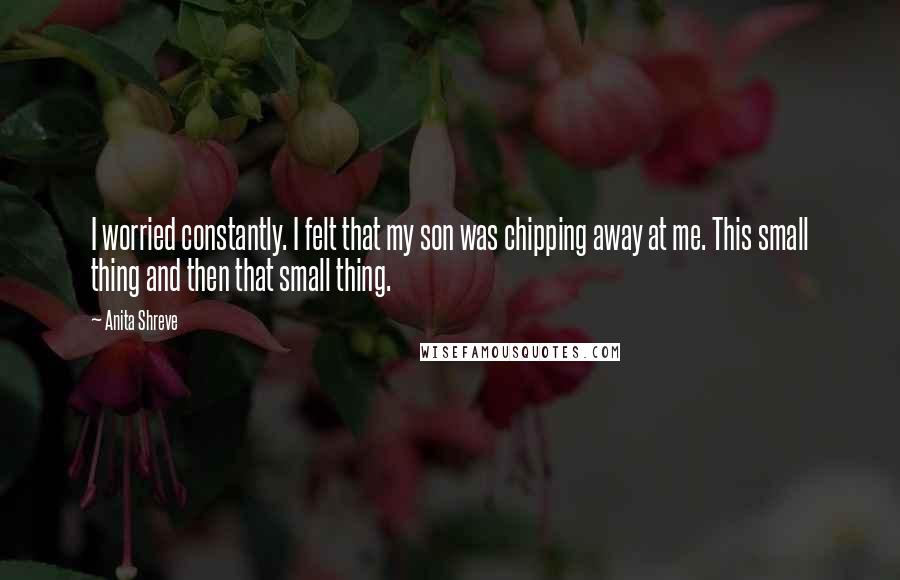 Anita Shreve Quotes: I worried constantly. I felt that my son was chipping away at me. This small thing and then that small thing.