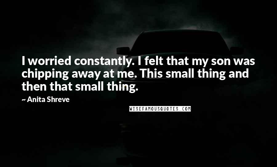 Anita Shreve Quotes: I worried constantly. I felt that my son was chipping away at me. This small thing and then that small thing.