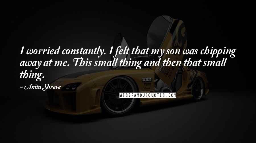 Anita Shreve Quotes: I worried constantly. I felt that my son was chipping away at me. This small thing and then that small thing.