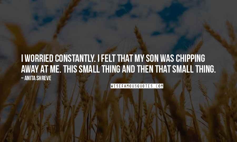 Anita Shreve Quotes: I worried constantly. I felt that my son was chipping away at me. This small thing and then that small thing.