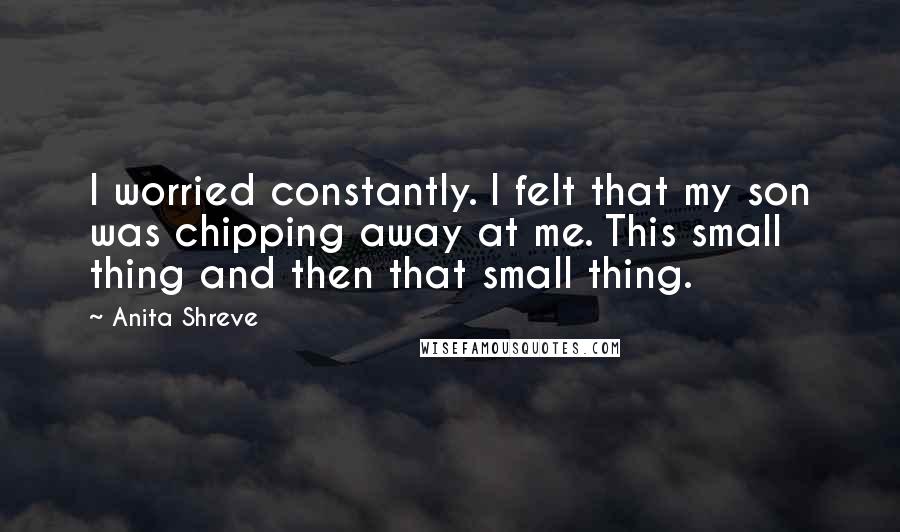 Anita Shreve Quotes: I worried constantly. I felt that my son was chipping away at me. This small thing and then that small thing.