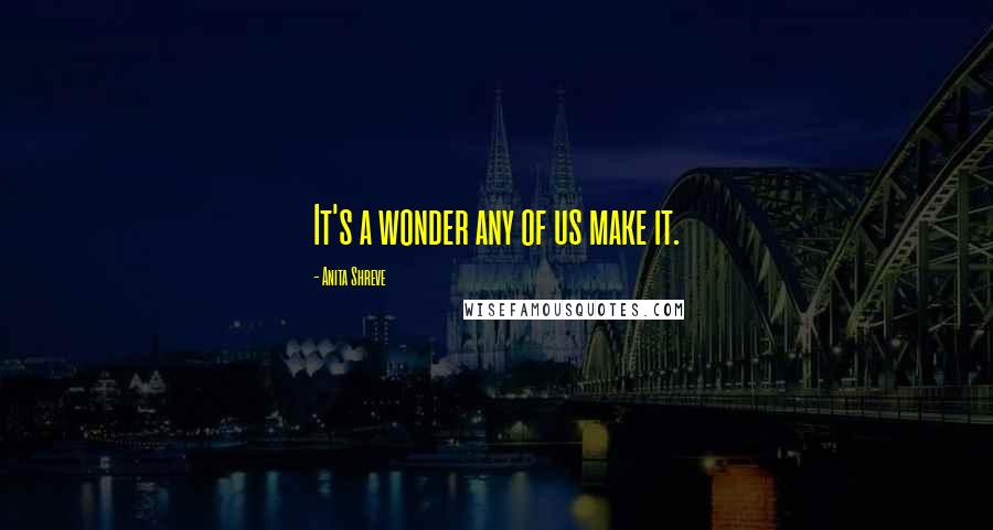 Anita Shreve Quotes: It's a wonder any of us make it.