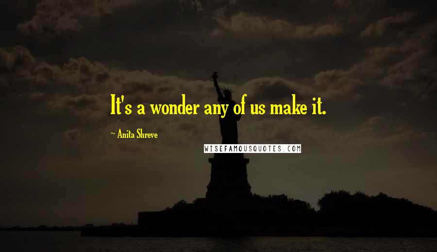 Anita Shreve Quotes: It's a wonder any of us make it.