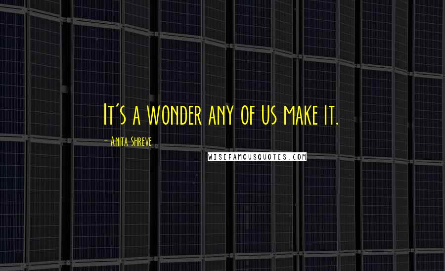 Anita Shreve Quotes: It's a wonder any of us make it.