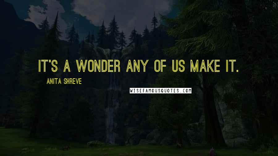 Anita Shreve Quotes: It's a wonder any of us make it.