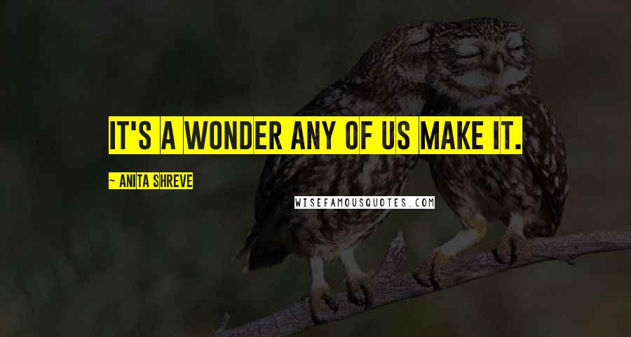 Anita Shreve Quotes: It's a wonder any of us make it.