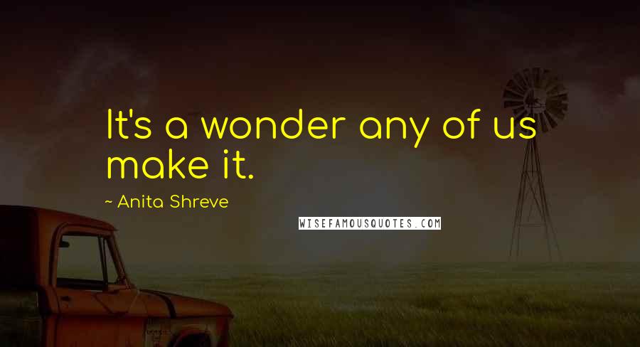 Anita Shreve Quotes: It's a wonder any of us make it.