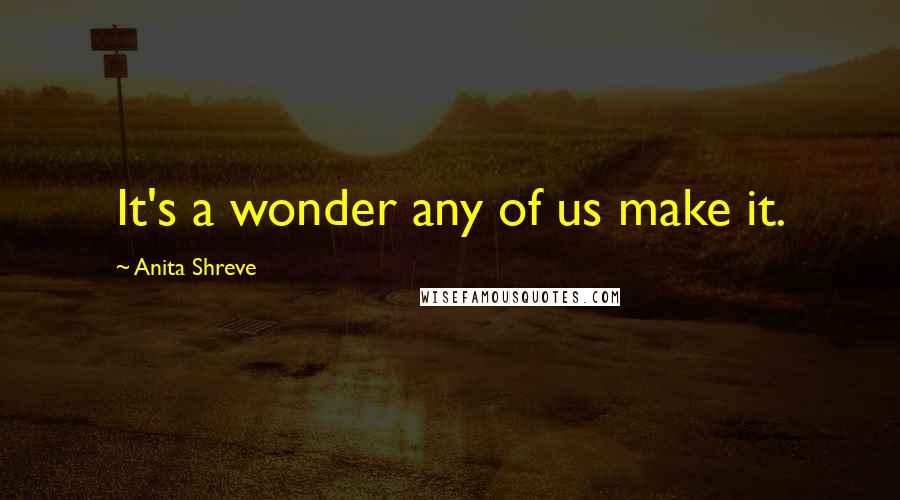 Anita Shreve Quotes: It's a wonder any of us make it.