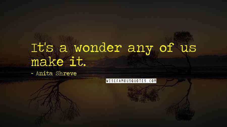 Anita Shreve Quotes: It's a wonder any of us make it.