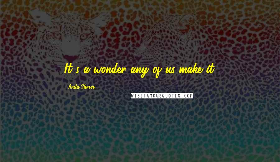 Anita Shreve Quotes: It's a wonder any of us make it.