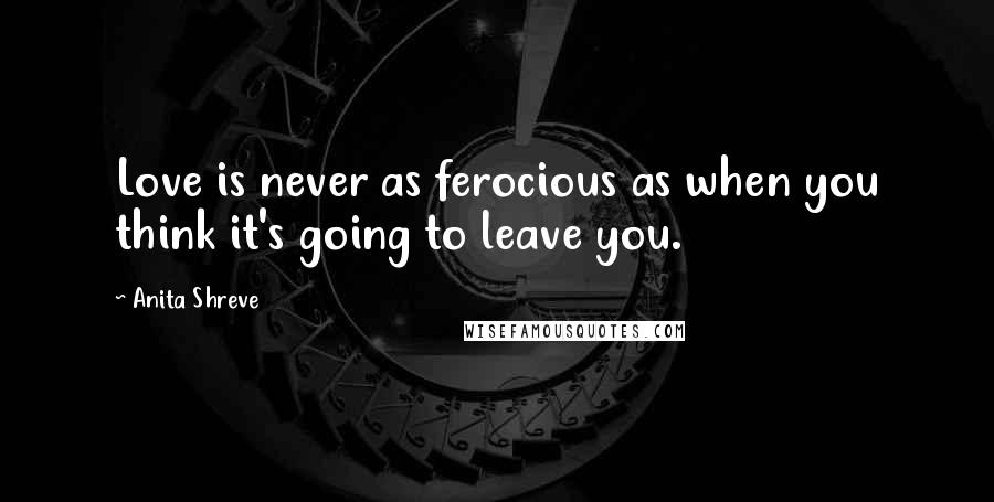 Anita Shreve Quotes: Love is never as ferocious as when you think it's going to leave you.