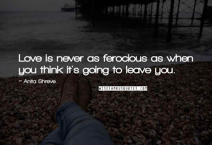 Anita Shreve Quotes: Love is never as ferocious as when you think it's going to leave you.