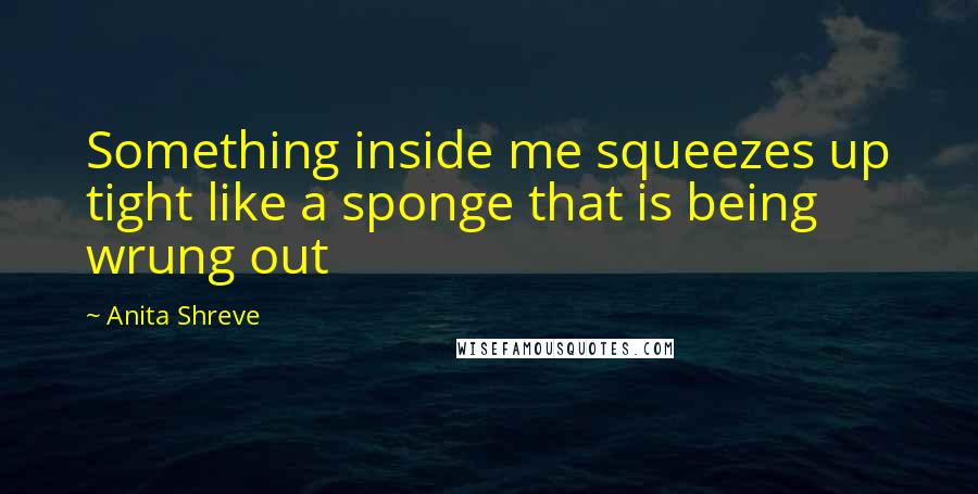 Anita Shreve Quotes: Something inside me squeezes up tight like a sponge that is being wrung out