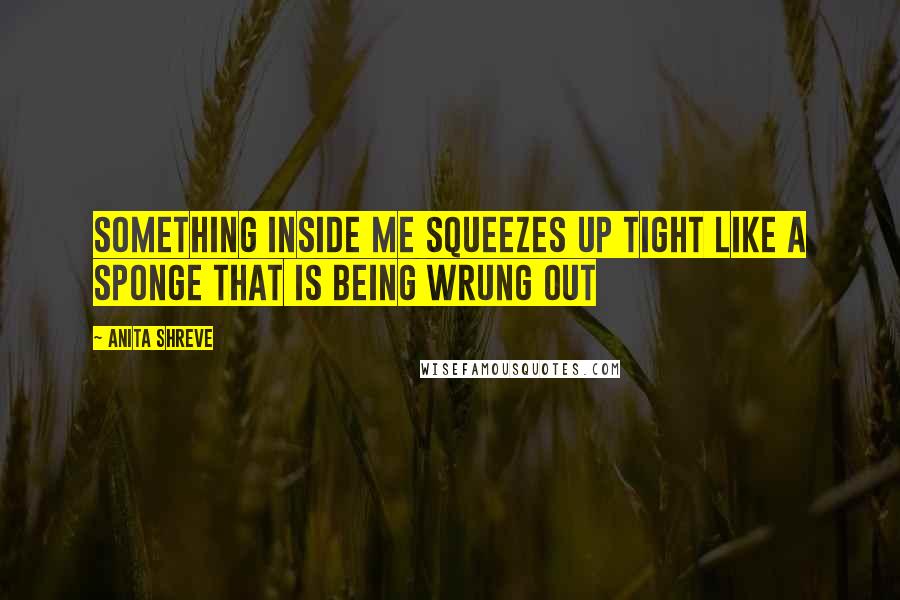 Anita Shreve Quotes: Something inside me squeezes up tight like a sponge that is being wrung out