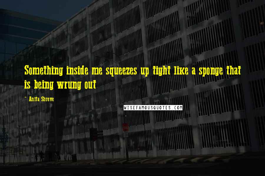 Anita Shreve Quotes: Something inside me squeezes up tight like a sponge that is being wrung out