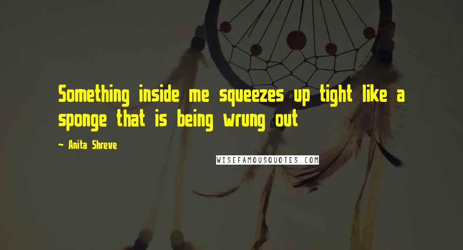 Anita Shreve Quotes: Something inside me squeezes up tight like a sponge that is being wrung out