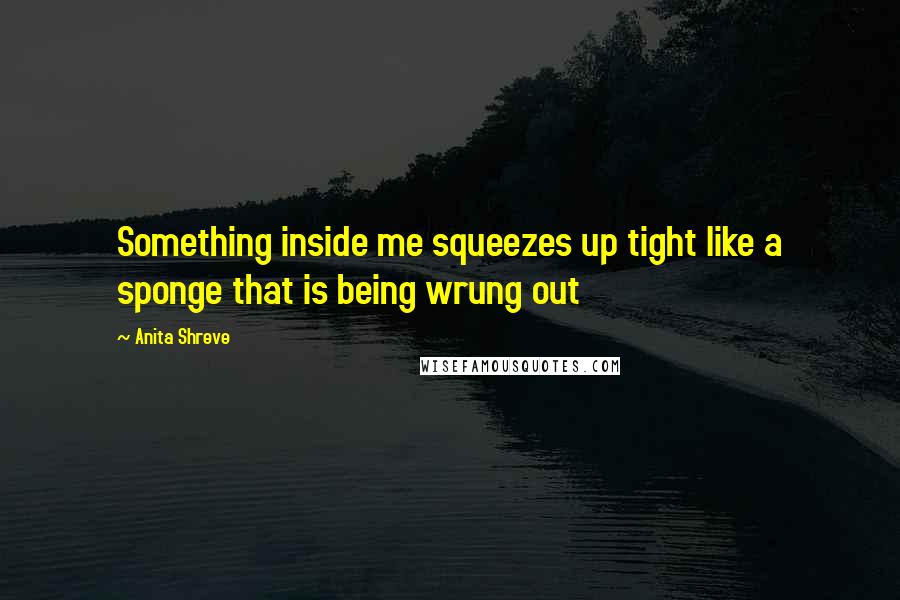 Anita Shreve Quotes: Something inside me squeezes up tight like a sponge that is being wrung out