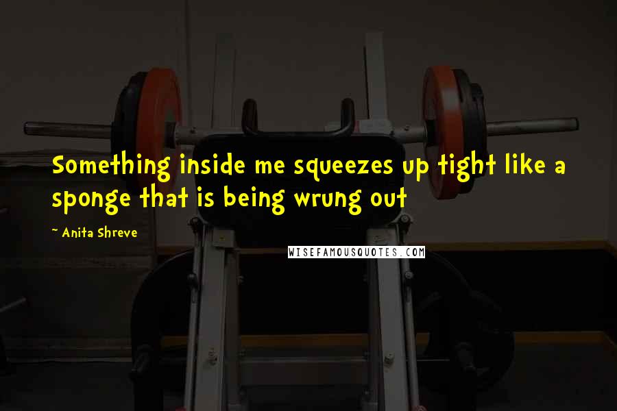 Anita Shreve Quotes: Something inside me squeezes up tight like a sponge that is being wrung out