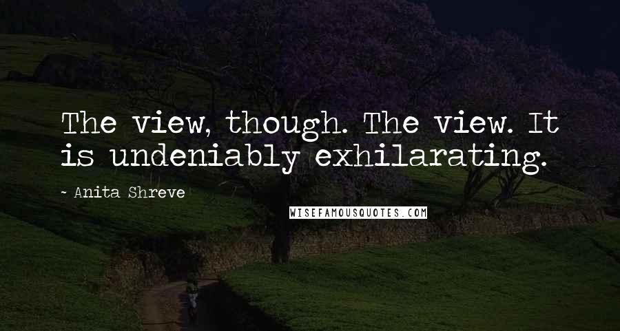 Anita Shreve Quotes: The view, though. The view. It is undeniably exhilarating.