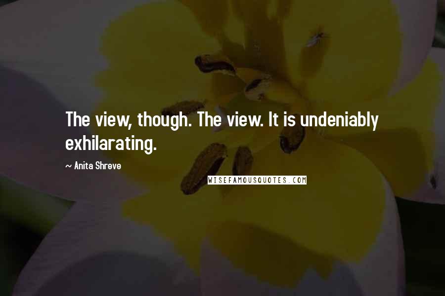 Anita Shreve Quotes: The view, though. The view. It is undeniably exhilarating.