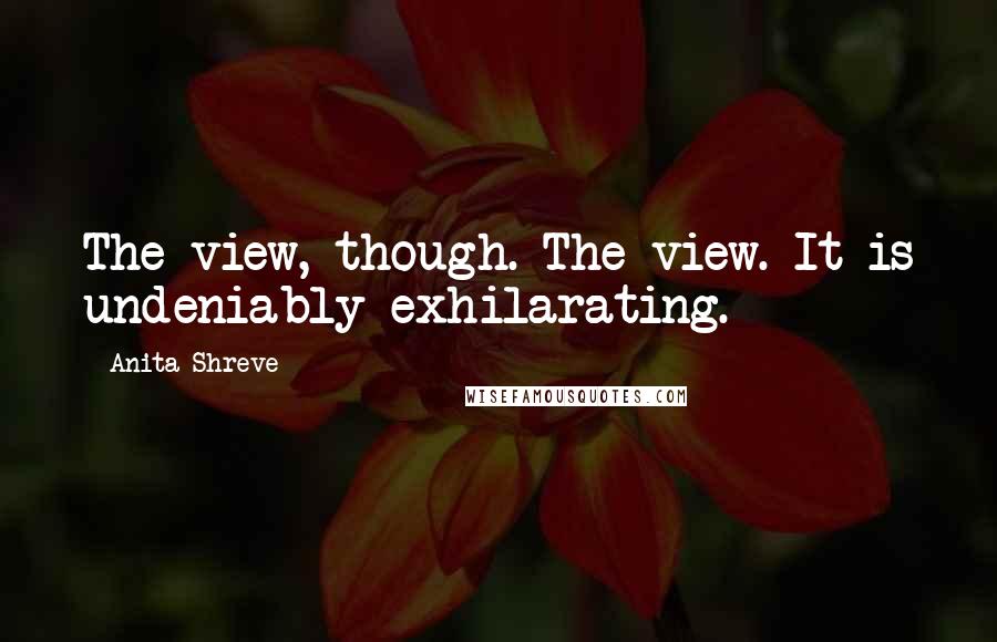 Anita Shreve Quotes: The view, though. The view. It is undeniably exhilarating.