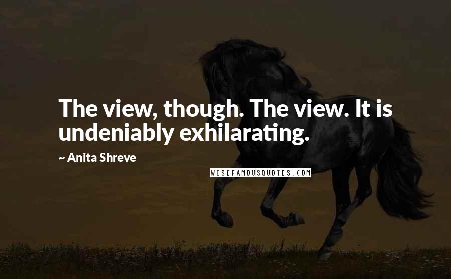 Anita Shreve Quotes: The view, though. The view. It is undeniably exhilarating.